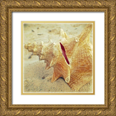 Conch Gold Ornate Wood Framed Art Print with Double Matting by Saghini, Lisa Hill