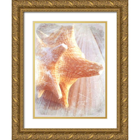Conch II Gold Ornate Wood Framed Art Print with Double Matting by Saghini, Lisa Hill