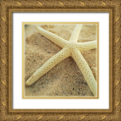 Starfish Gold Ornate Wood Framed Art Print with Double Matting by Saghini, Lisa Hill