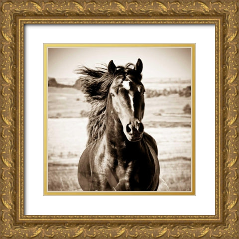 On the Run Gold Ornate Wood Framed Art Print with Double Matting by Walker, Carol