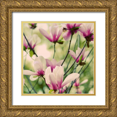 Fragile Pink Daisies Gold Ornate Wood Framed Art Print with Double Matting by Peck, Gail