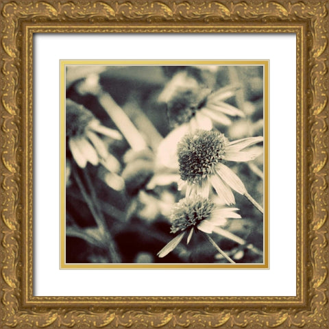 Fragile Daisies I Gold Ornate Wood Framed Art Print with Double Matting by Peck, Gail