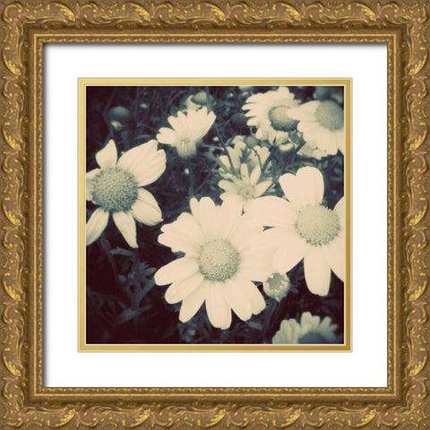 Fragile Daisies II Gold Ornate Wood Framed Art Print with Double Matting by Peck, Gail