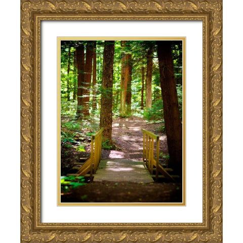 Forest Park Path Gold Ornate Wood Framed Art Print with Double Matting by Bryant, Susan