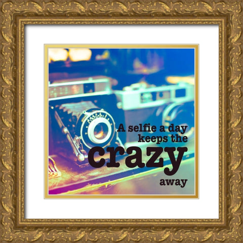 A Selfie a Day Gold Ornate Wood Framed Art Print with Double Matting by Bryant, Susan