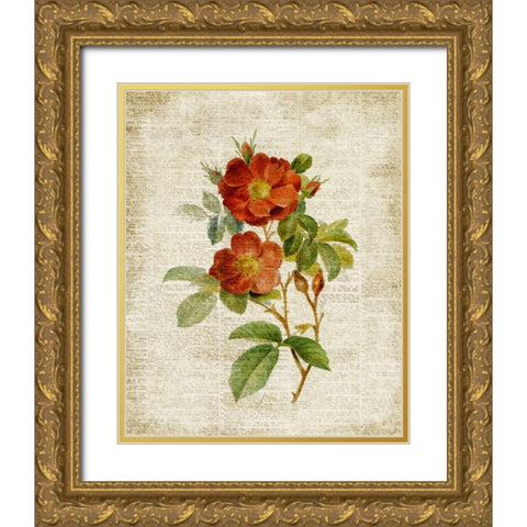 Roses on Newsprint II Gold Ornate Wood Framed Art Print with Double Matting by Loreth, Lanie