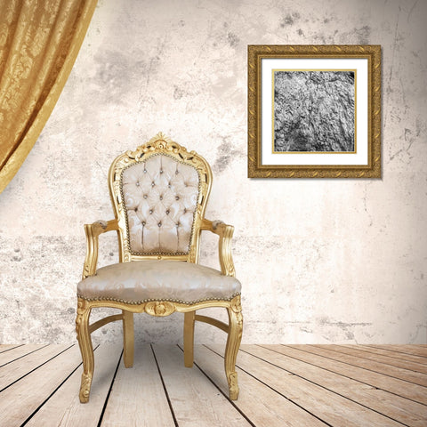 Rock Wall I Gold Ornate Wood Framed Art Print with Double Matting by Rodriguez, Jairo