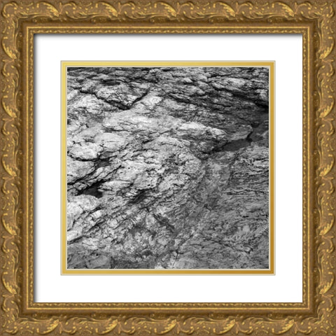 Rock Wall II Gold Ornate Wood Framed Art Print with Double Matting by Rodriguez, Jairo