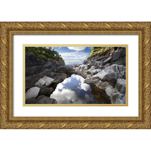 Reflecting Ravine Gold Ornate Wood Framed Art Print with Double Matting by Nawrocke, Bruce