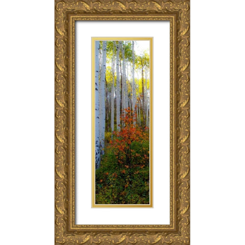 Aspen in the Day I Gold Ornate Wood Framed Art Print with Double Matting by Mansfield, Kathy