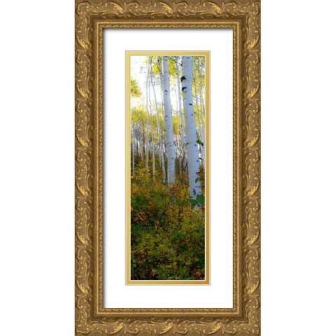 Aspen in the Day II Gold Ornate Wood Framed Art Print with Double Matting by Mansfield, Kathy