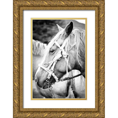 Before the Ride I Gold Ornate Wood Framed Art Print with Double Matting by Coppel, Anna