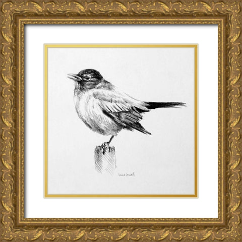 Bird Drawing III Gold Ornate Wood Framed Art Print with Double Matting by Loreth, Lanie