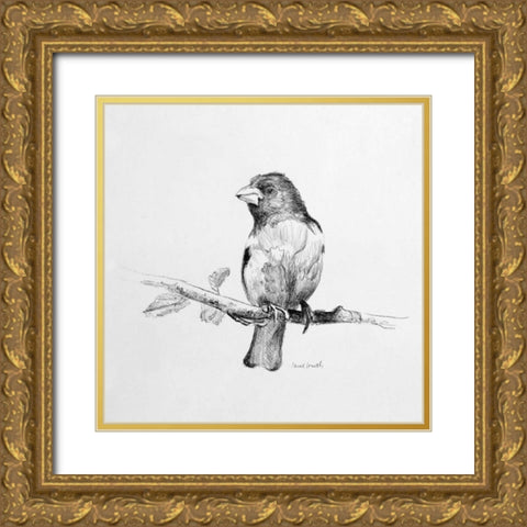 Bird Drawing IV Gold Ornate Wood Framed Art Print with Double Matting by Loreth, Lanie