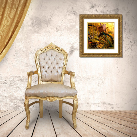 Garden Bike Gold Ornate Wood Framed Art Print with Double Matting by Nawrocke, Bruce