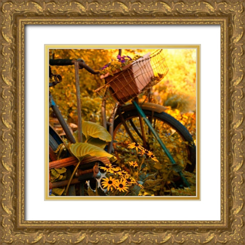 Garden Bike Gold Ornate Wood Framed Art Print with Double Matting by Nawrocke, Bruce