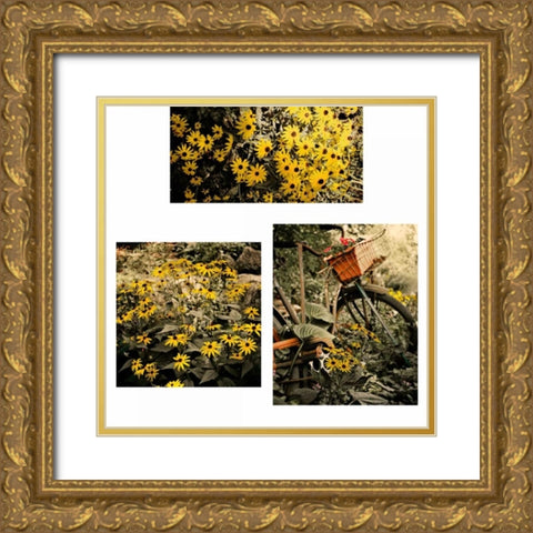 Gerber Daisy Garden Set Gold Ornate Wood Framed Art Print with Double Matting by Nawrocke, Bruce