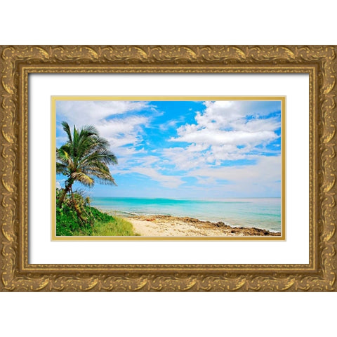 Paradise Gold Ornate Wood Framed Art Print with Double Matting by Peck, Gail