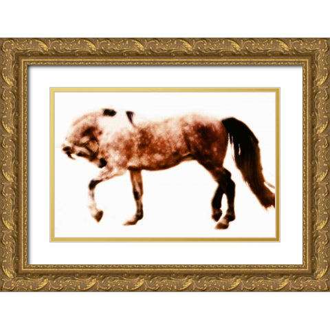 Horse 10 Gold Ornate Wood Framed Art Print with Double Matting by Hoffman, Kate