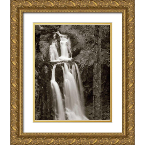 Kentucky Falls Gold Ornate Wood Framed Art Print with Double Matting by Audit, Lisa