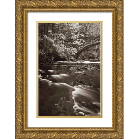 Whatcom Creek Gold Ornate Wood Framed Art Print with Double Matting by Audit, Lisa