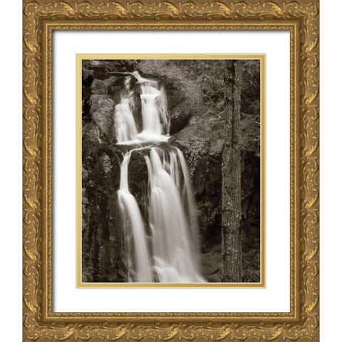 Kentucky Falls Gold Ornate Wood Framed Art Print with Double Matting by Audit, Lisa
