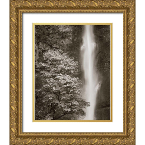 Multnomah Falls Gold Ornate Wood Framed Art Print with Double Matting by Audit, Lisa