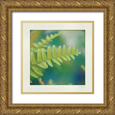 Natures Fern I Gold Ornate Wood Framed Art Print with Double Matting by Schlabach, Sue