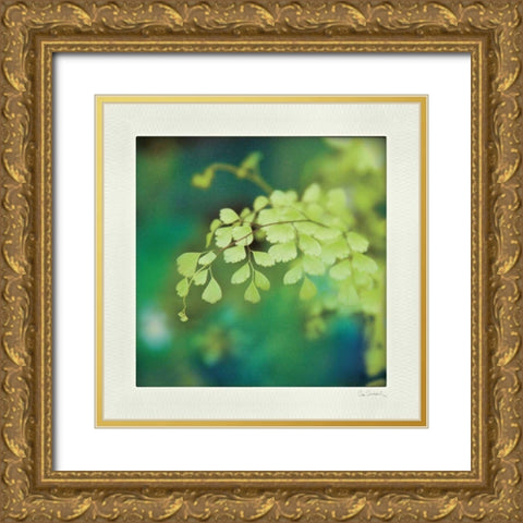 Natures Fern II Gold Ornate Wood Framed Art Print with Double Matting by Schlabach, Sue
