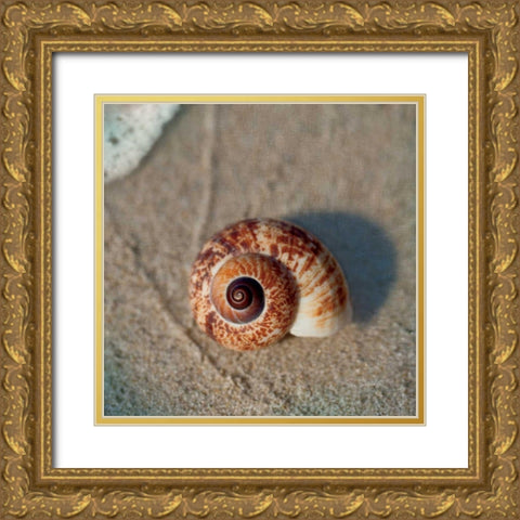 Sand Surf Shell Gold Ornate Wood Framed Art Print with Double Matting by Schlabach, Sue