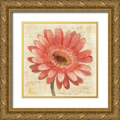 Blushing Gerbera Gold Ornate Wood Framed Art Print with Double Matting by Hristova, Albena