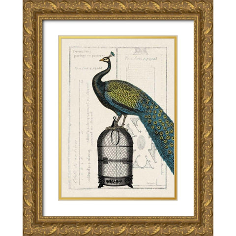 Peacock Birdcage II Gold Ornate Wood Framed Art Print with Double Matting by Wild Apple Portfolio