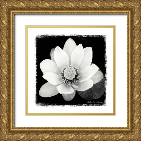 Lotus Flower II Gold Ornate Wood Framed Art Print with Double Matting by Van Swearingen, Debra