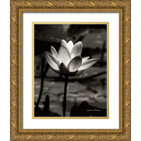 Lotus Flower VII Gold Ornate Wood Framed Art Print with Double Matting by Van Swearingen, Debra