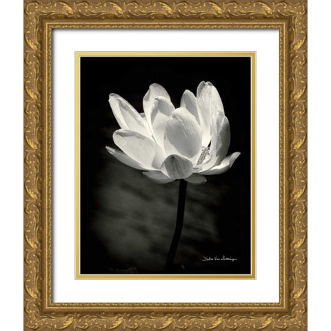 Lotus Flower X Gold Ornate Wood Framed Art Print with Double Matting by Van Swearingen, Debra