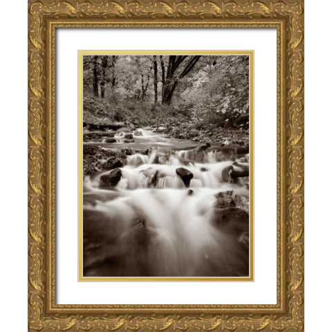 Wahkeena Creek Gold Ornate Wood Framed Art Print with Double Matting by Audit, Lisa