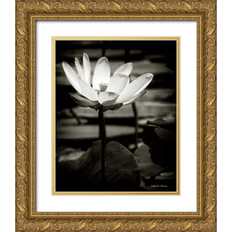 Lotus Flower VIII Gold Ornate Wood Framed Art Print with Double Matting by Van Swearingen, Debra