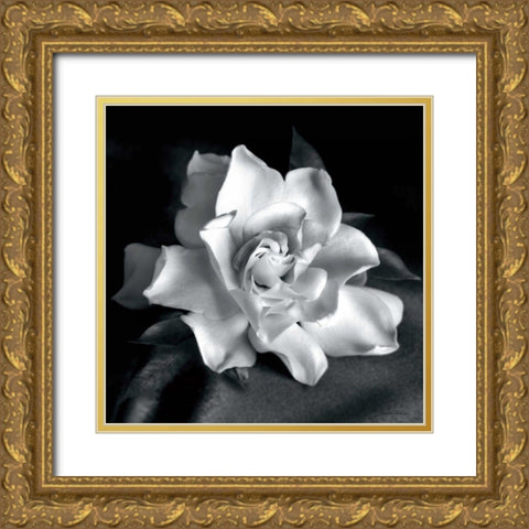 Gardenia Gold Ornate Wood Framed Art Print with Double Matting by Van Swearingen, Debra