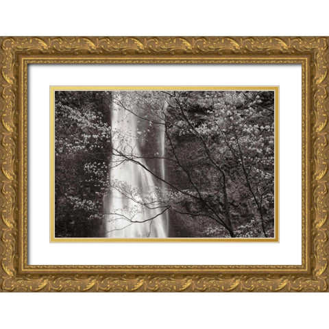 Double Falls II Gold Ornate Wood Framed Art Print with Double Matting by Audit, Lisa