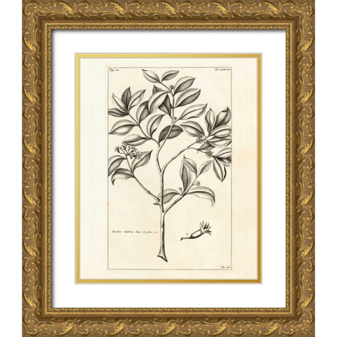 Tropical Leaf Study I Gold Ornate Wood Framed Art Print with Double Matting by Wild Apple Portfolio