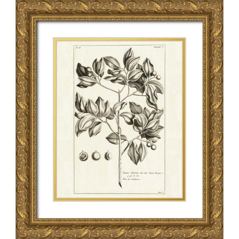 Tropical Leaf Study II Gold Ornate Wood Framed Art Print with Double Matting by Wild Apple Portfolio