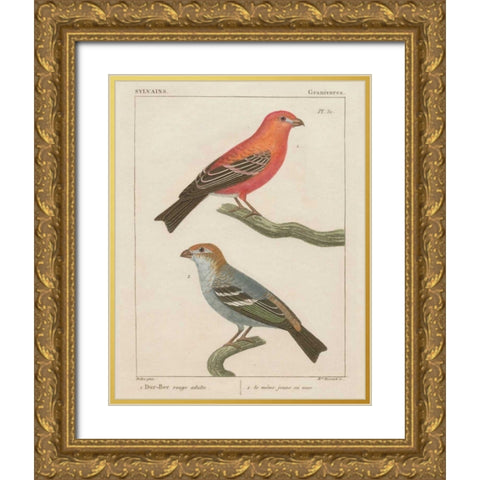 Sylvains II Gold Ornate Wood Framed Art Print with Double Matting by Wild Apple Portfolio