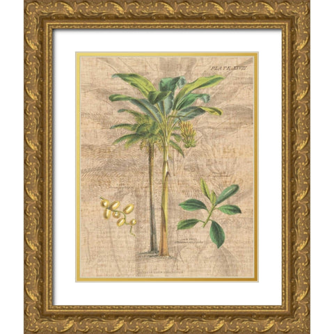Palm Study I Gold Ornate Wood Framed Art Print with Double Matting by Wild Apple Portfolio