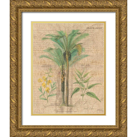Palm Study II Gold Ornate Wood Framed Art Print with Double Matting by Wild Apple Portfolio