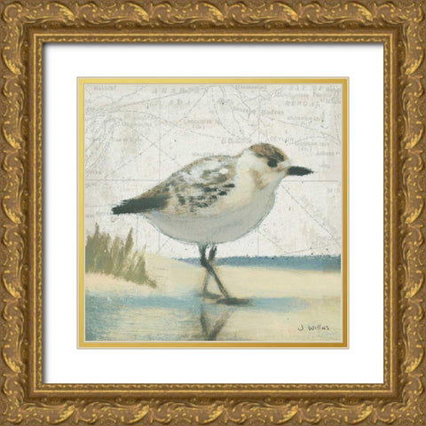 Beach Bird I Gold Ornate Wood Framed Art Print with Double Matting by Wiens, James