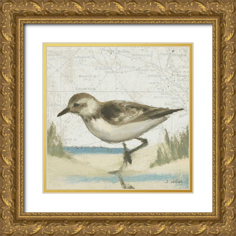 Beach Bird IV Gold Ornate Wood Framed Art Print with Double Matting by Wiens, James