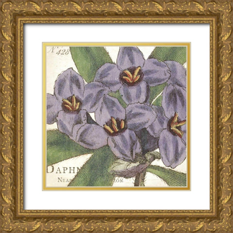 Purple Floral Gold Ornate Wood Framed Art Print with Double Matting by Wild Apple Portfolio