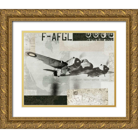 Wings Collage III Gold Ornate Wood Framed Art Print with Double Matting by Wild Apple Portfolio