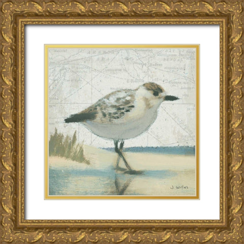 Beach Bird I Gold Ornate Wood Framed Art Print with Double Matting by Wiens, James