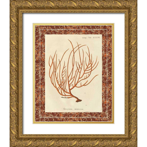 Gorgonia Miniacea Marble Gold Ornate Wood Framed Art Print with Double Matting by Wild Apple Portfolio